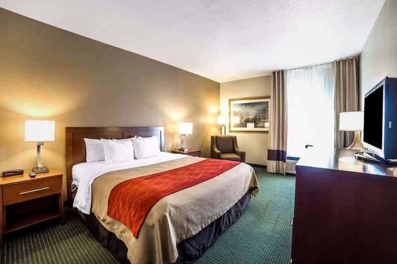 Quality Inn — guest room