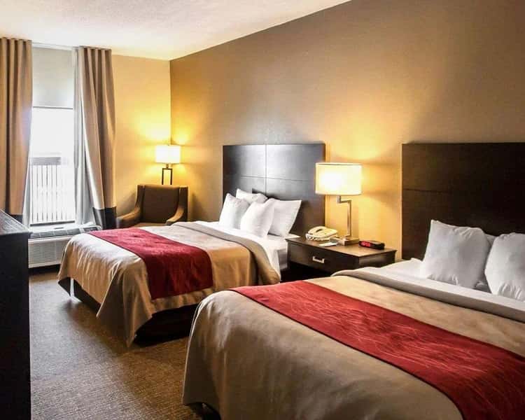 Quality Inn — guest room