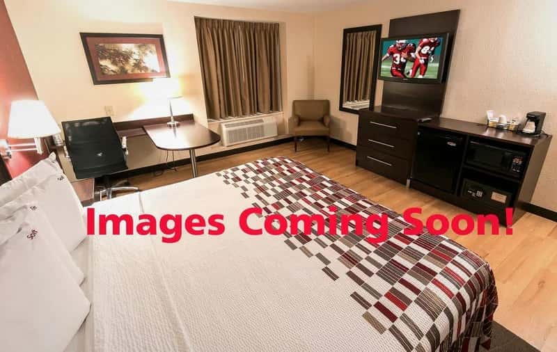 Red Roof Inn Sutton — guest room