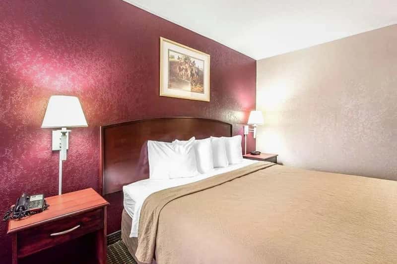 Quality Inn Tifton — guest room