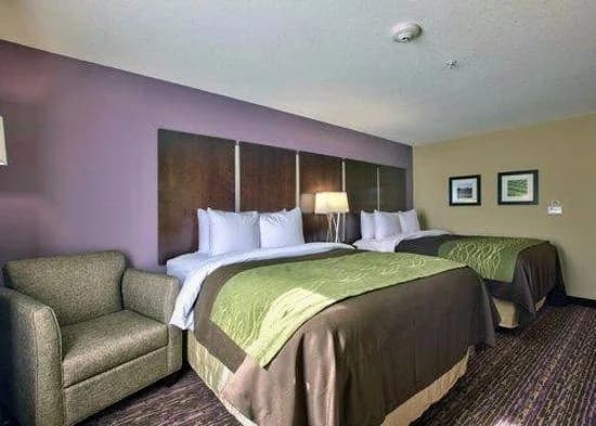 Comfort Inn & Suites Dothan East — photo 2