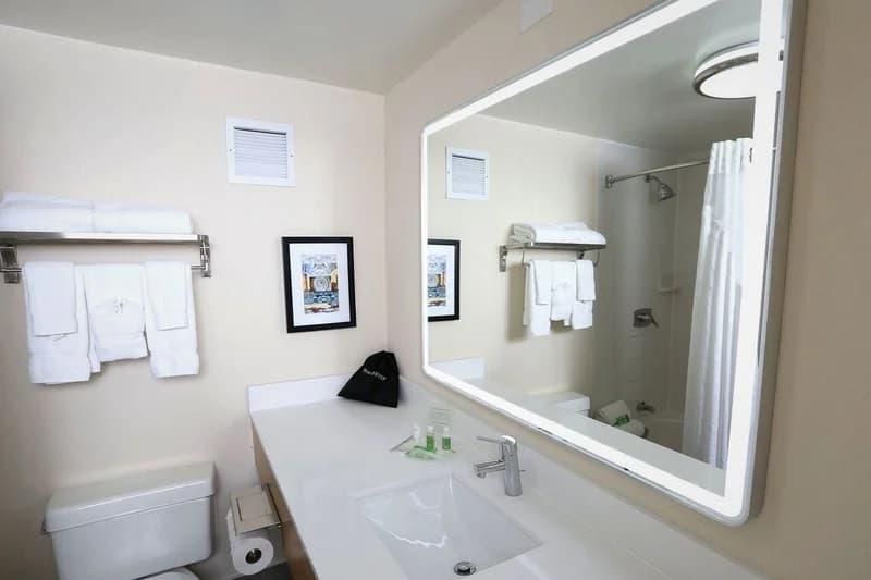 Holiday Inn & Suites Chicago North Shore (skokie) By IHG — photo 2
