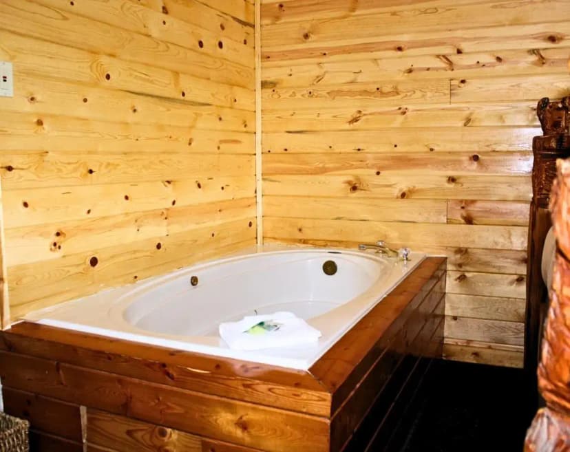 Hotels with jacuzzi in room in Island Park