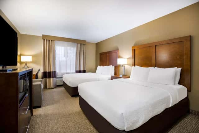 Best Western Morgan City Inn — guest room