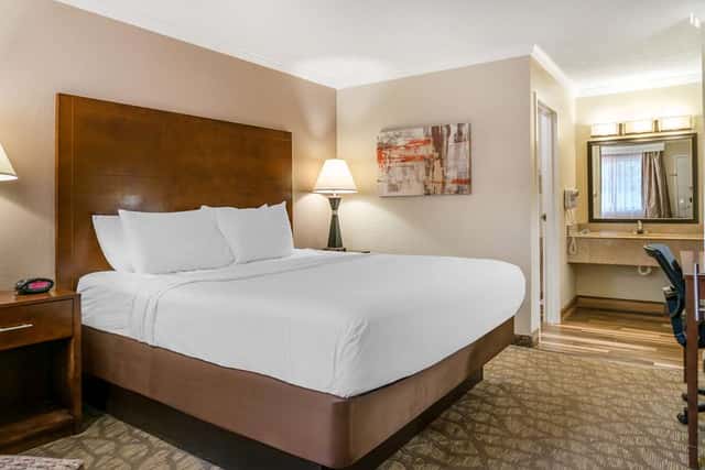 Best Western Of Hartland — guest room