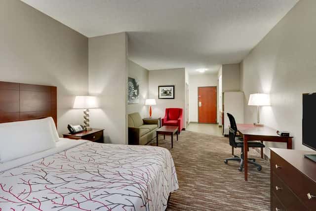 Best Western Plus University Inn & Suites — guest room