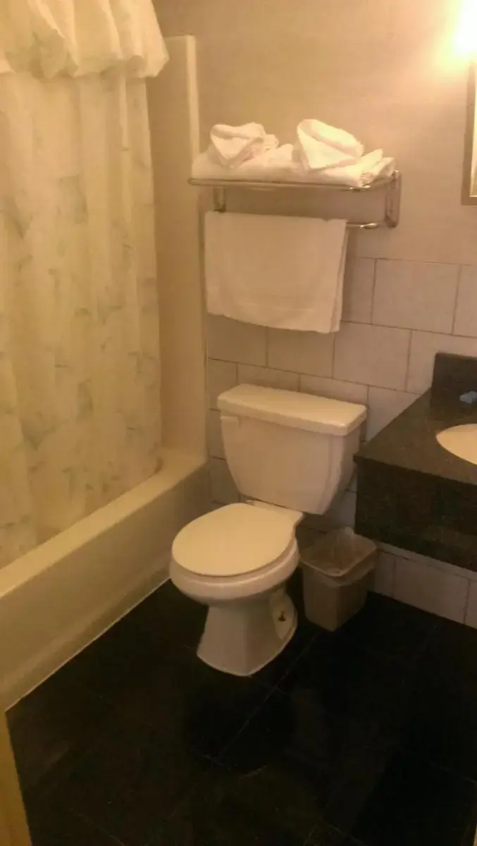 a bathroom with a toilet and a sink and a tub at Branford Motel in Branford
