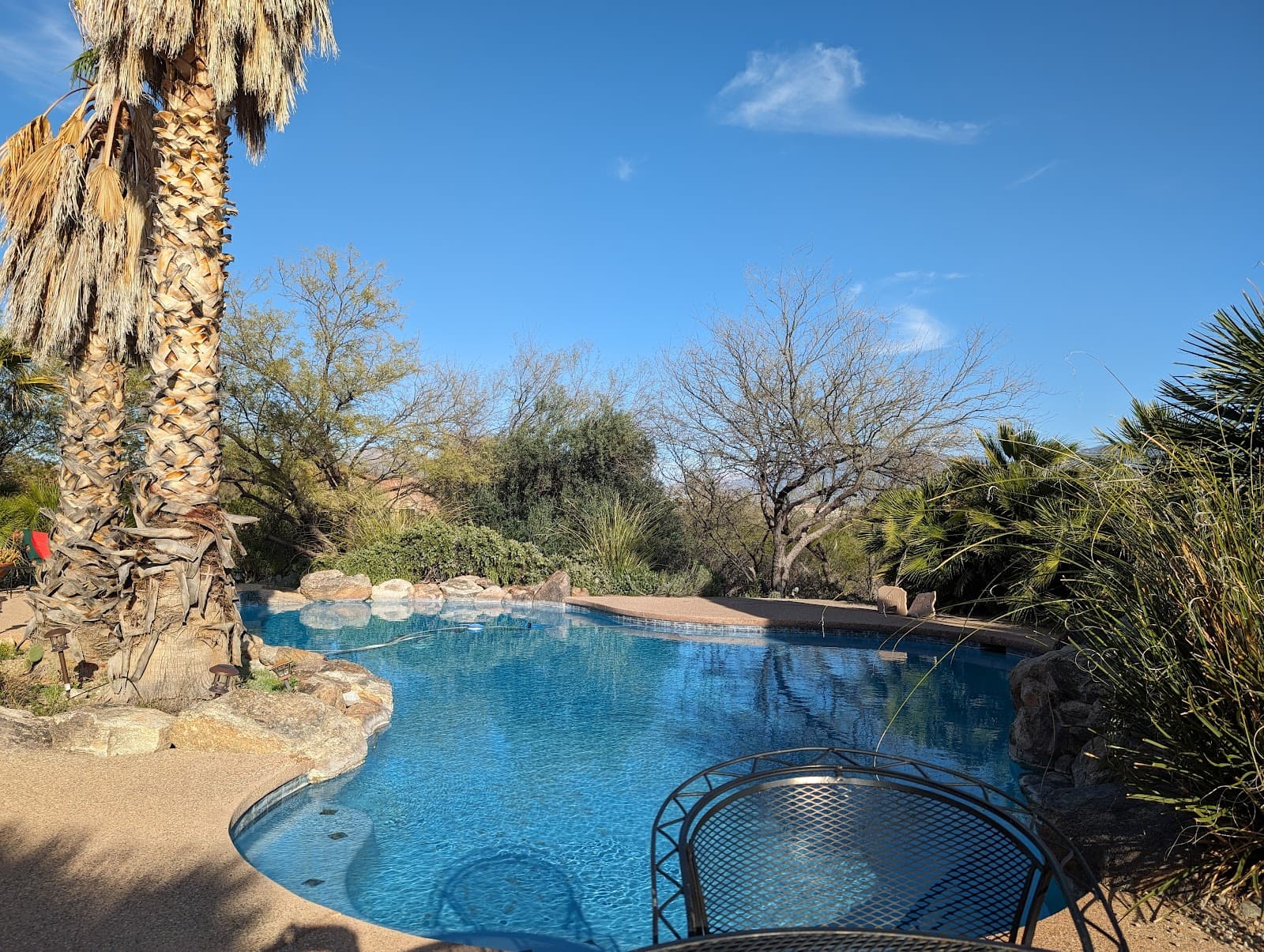 Cactus Cove Bed and Breakfast Inn