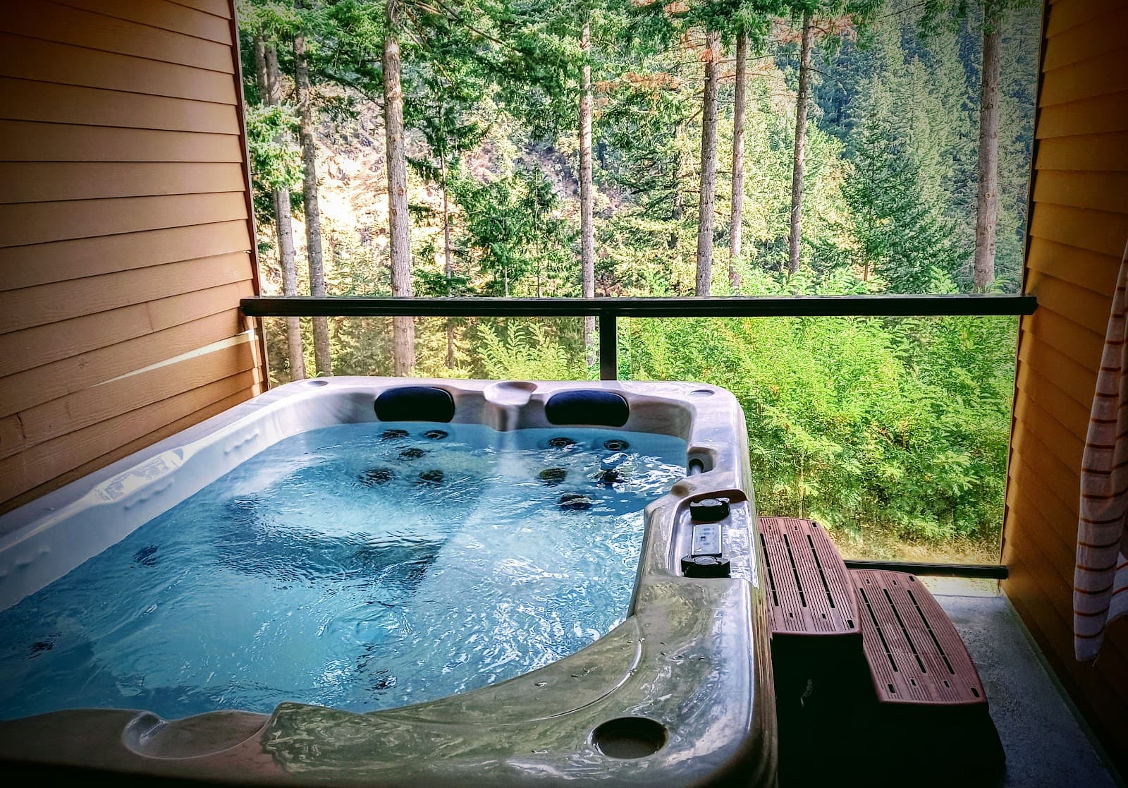 Carson Hot Springs Resort