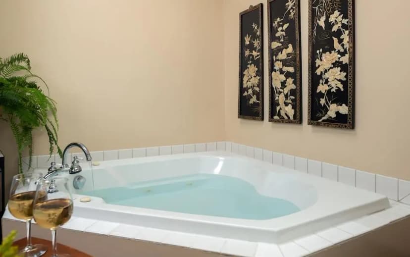 Hotels with jacuzzi in room in Allegan