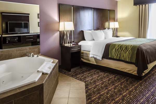 Comfort Inn & Suites Dothan East