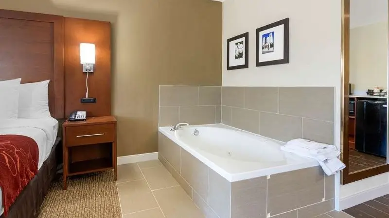 Comfort Inn & Suites West hotel photo 1 in Exit 3, Georgia