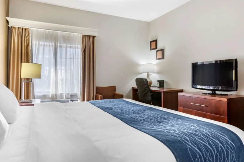Comfort Inn Downtown - University Area — guest room