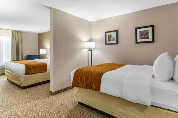Comfort Inn Smithfield Near I-95 — guest room