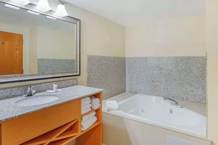 Private in-room jacuzzi tub in the Premier Suite, 1 Bedroom, Non Smoking, Jetted Tub (King Bed and Sofa Bed)
