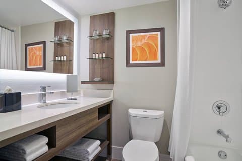 Hotels with jacuzzi in room in Schiller Park