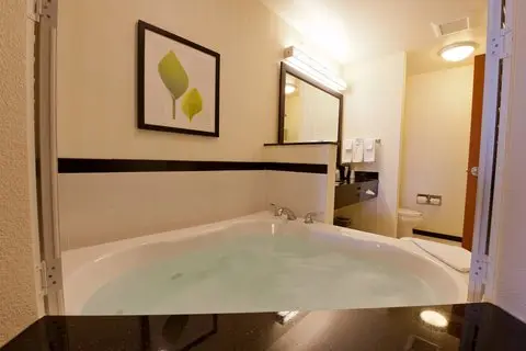 In-room hot tub at Fairfield Inn & Suites Flint Fenton in Fenton, MI