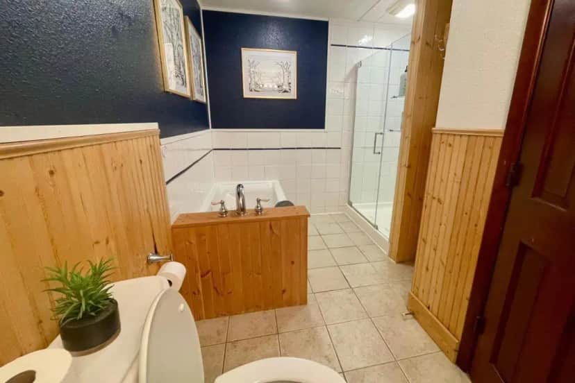 a bathroom with a toilet and a bath tub at Fireside Inn & Hostel in Breckenridge