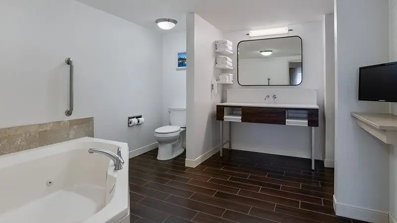 Hampton Inn & Suites Albany-Downtown — suite
