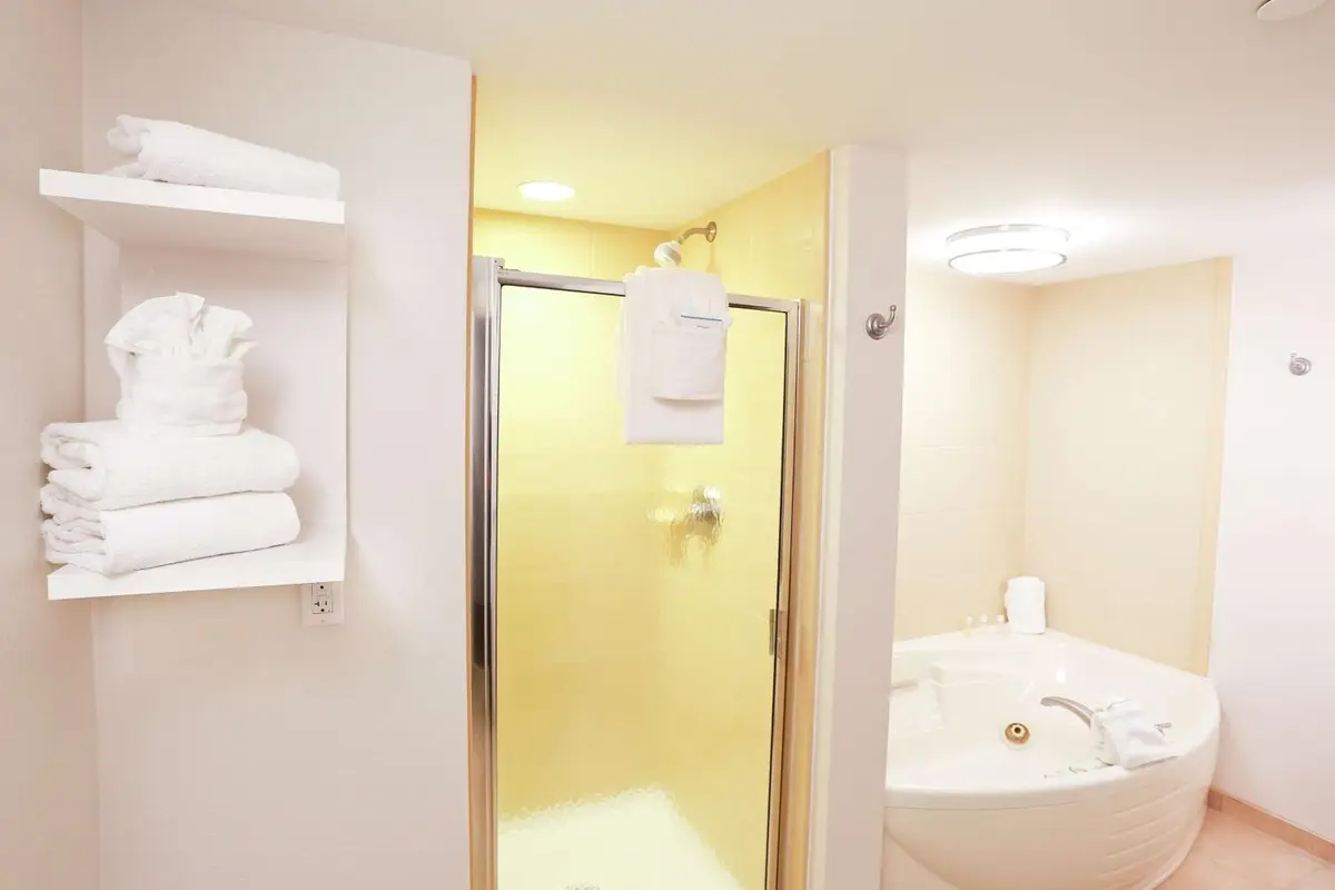 Hotels with jacuzzi in room in Wesley Chapel