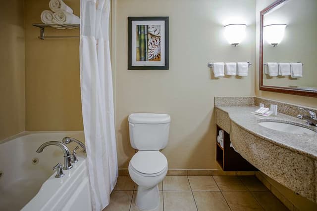 Jetted bathtub