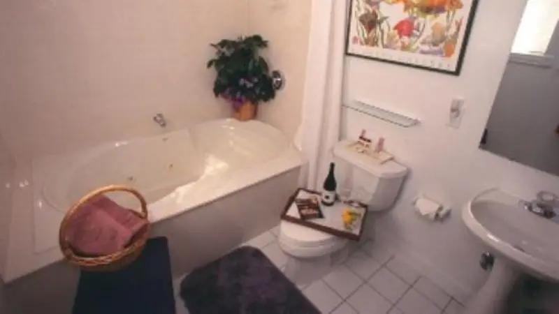 Hotels with jacuzzi in room in Taylorville