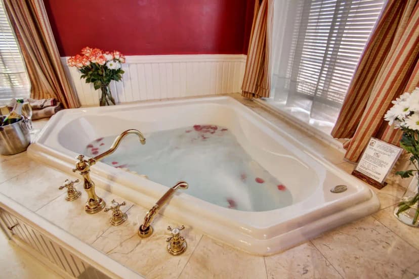 Hotels with jacuzzi in room in Georgia