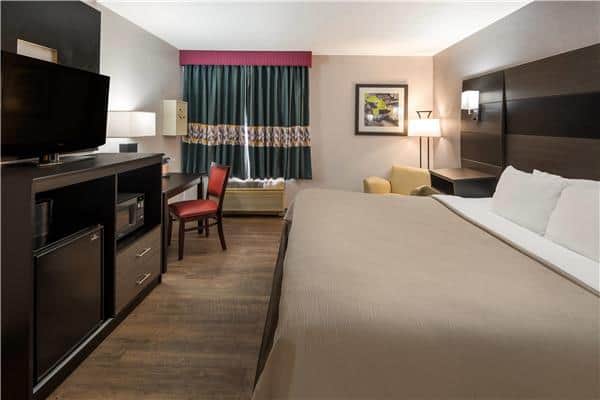 Quality Inn & Suites Cincinnati I-275 — guest room
