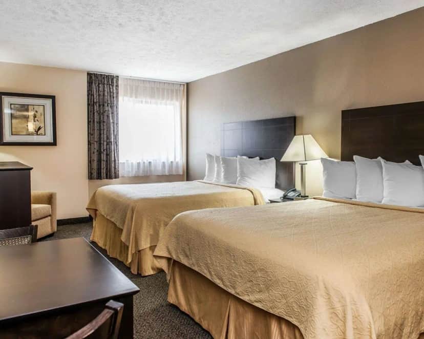 Quality Inn & Suites — guest room