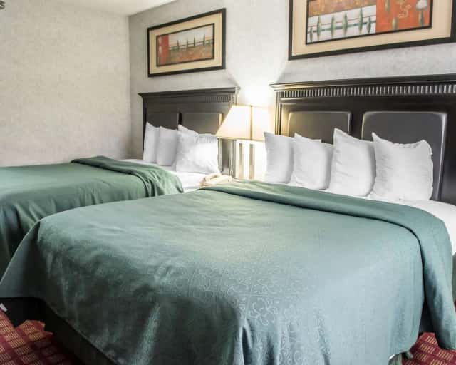 Quality Inn & Suites North — guest room