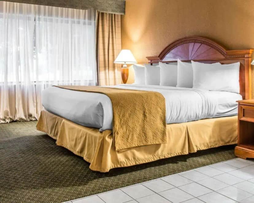 a hotel room with a large bed with white pillows at Quality Inn Southfield - Detroit in Southfield