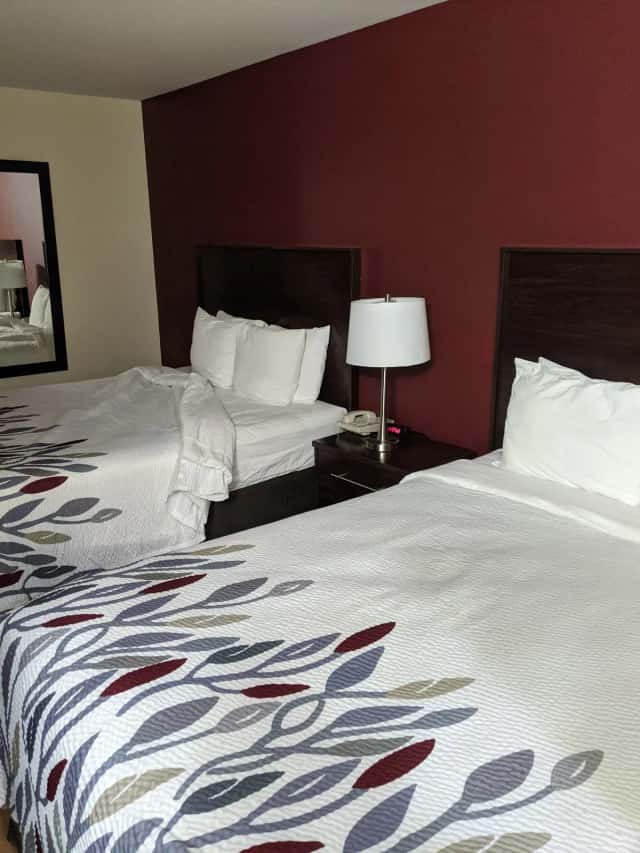 Red Roof Inn & Suites Monee — guest room