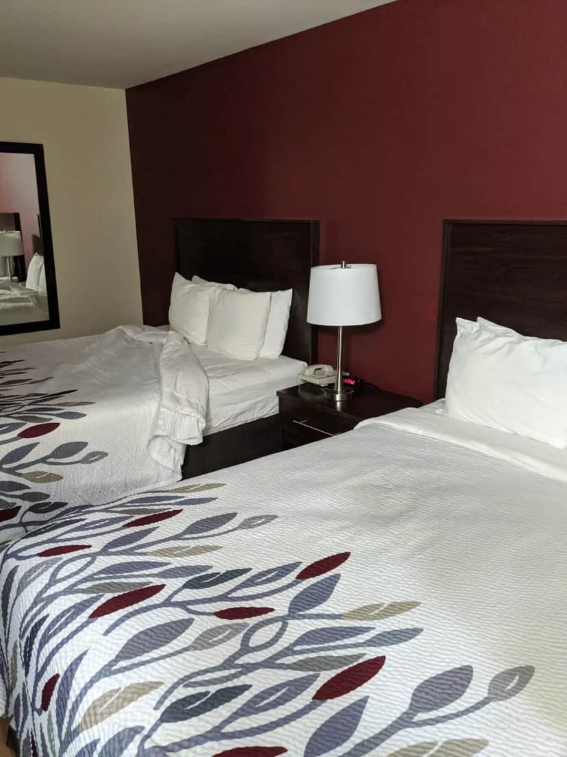 Red Roof Inn & Suites Monee — guest room