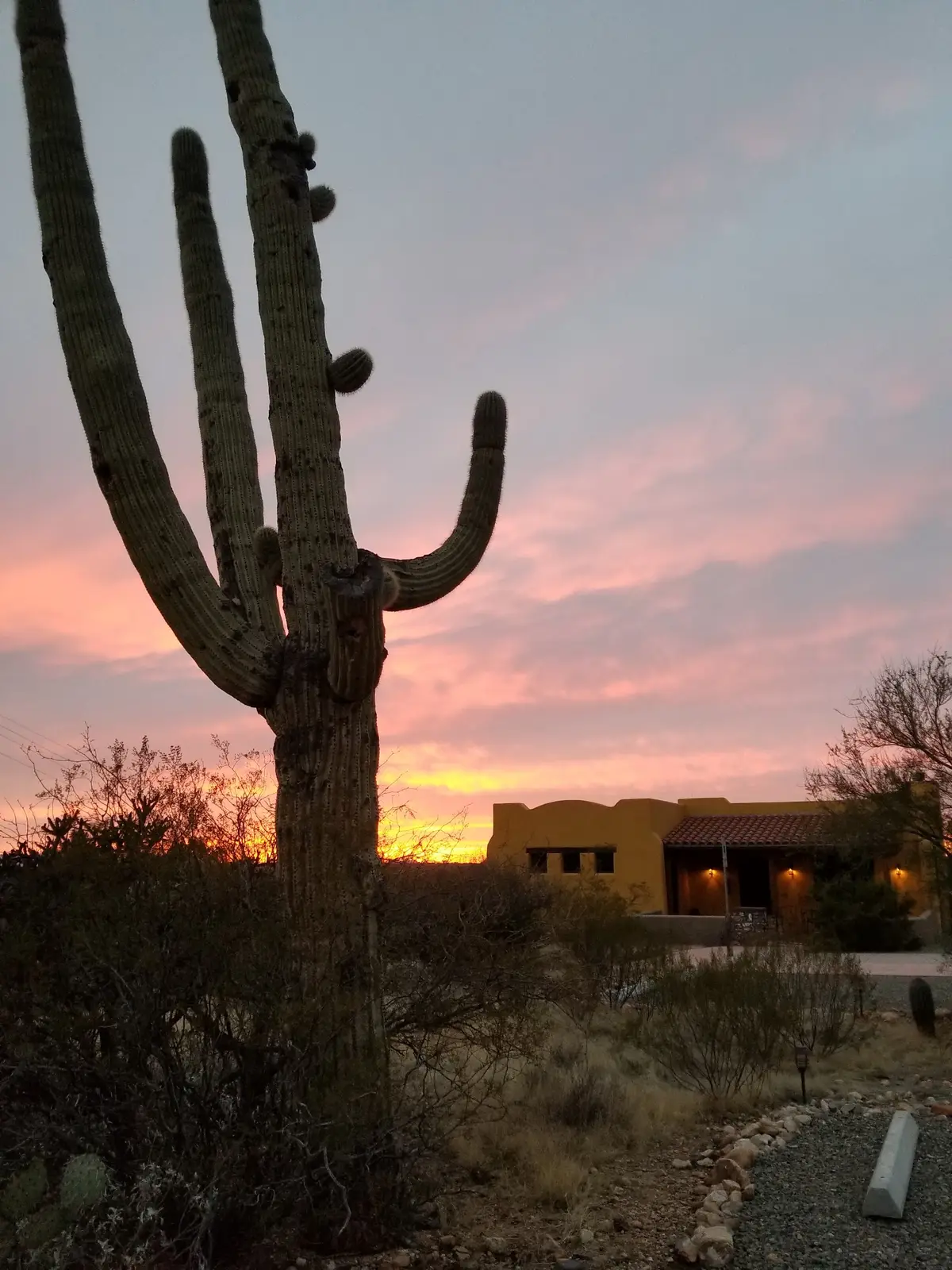 Hotels in Tucson with a jacuzzi in the room