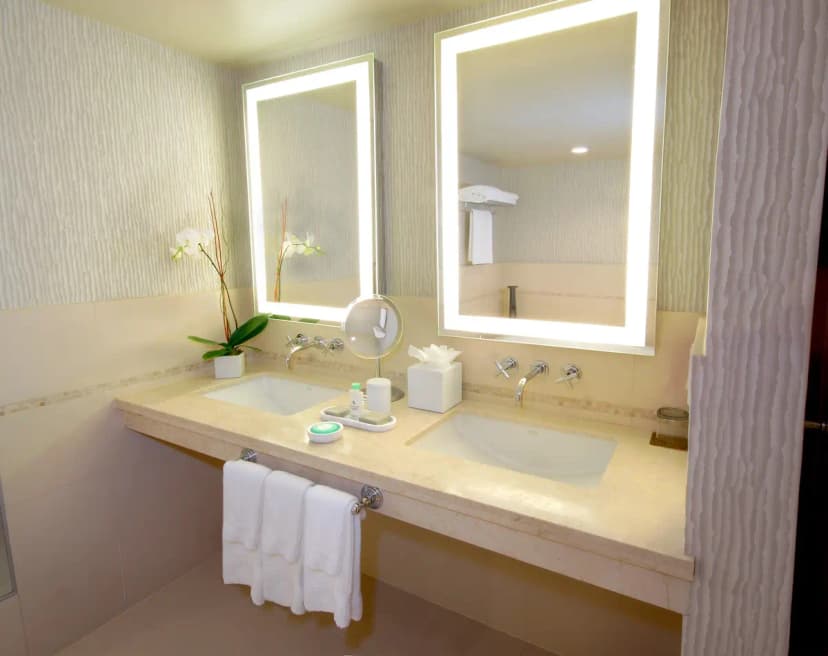 Hotels in Tampa with a jacuzzi in the room