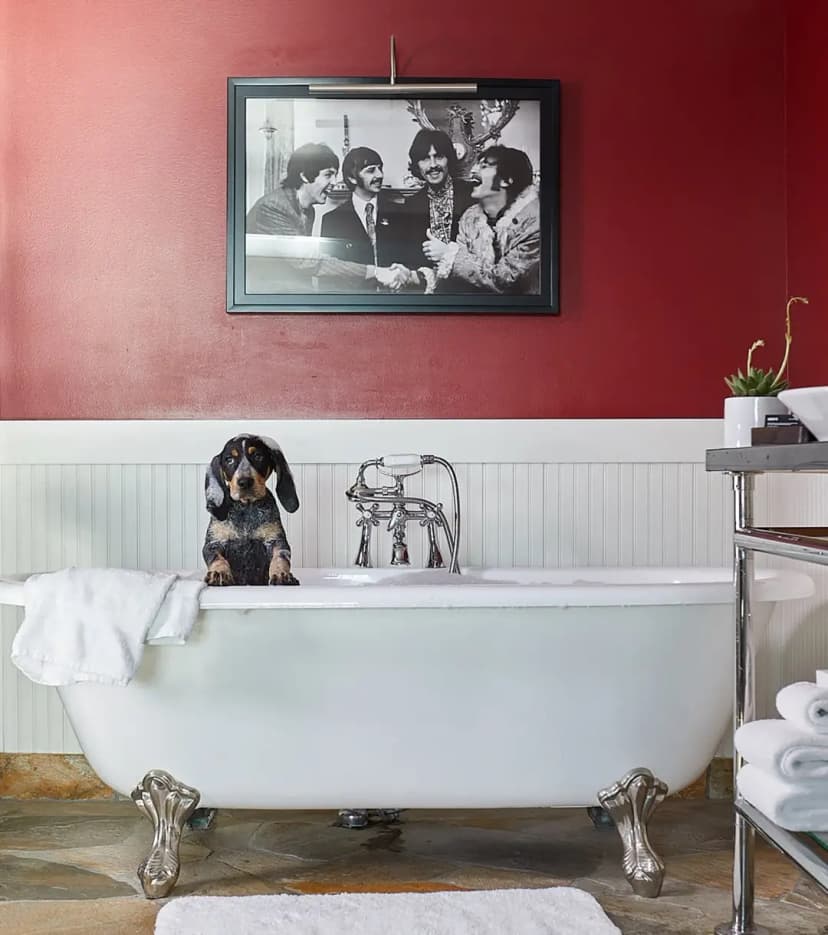 Hotels with jacuzzi in room in Seattle