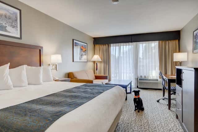 The Pine Lodge On Whitefish River — guest room