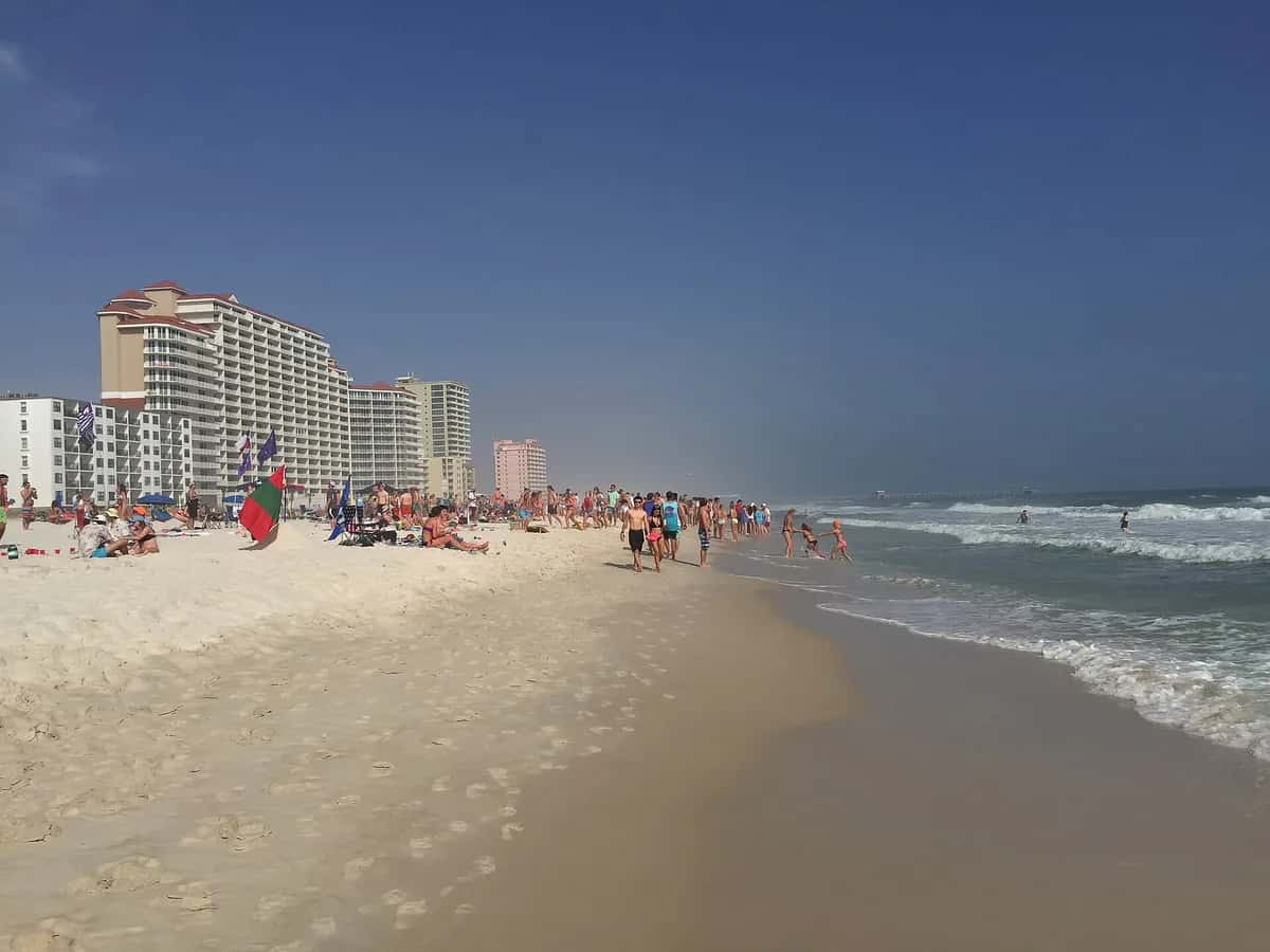 White sand beach and dunes at Gulf Shores, Alabama
