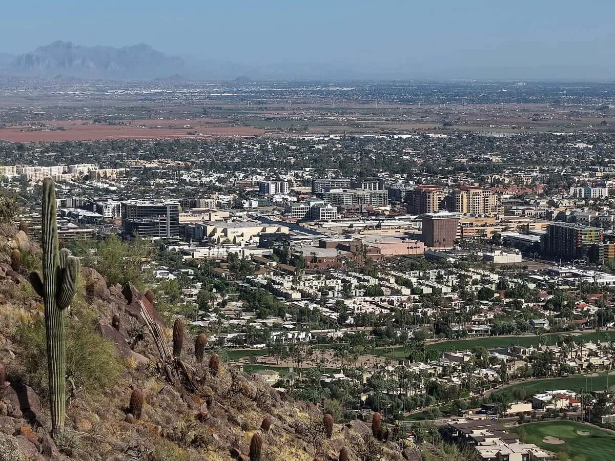 Saguaro cactus and Camelback Mountain near Scottsdale, Arizona