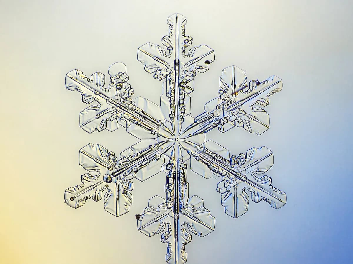 Snowflake, Arizona