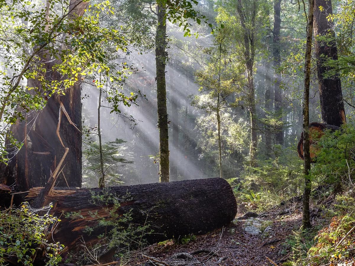 Bryant, Arkansas