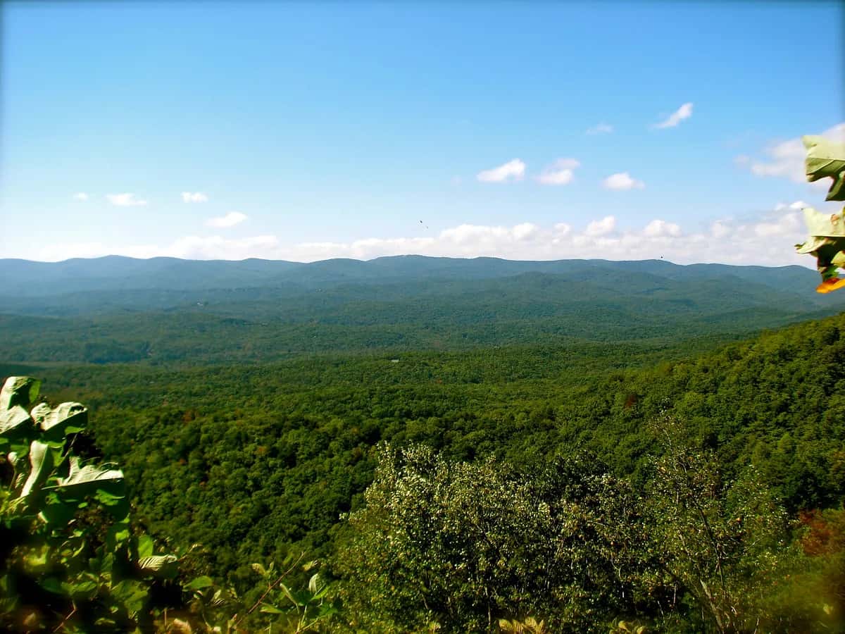 Amicalola Falls in the North Georgia mountains