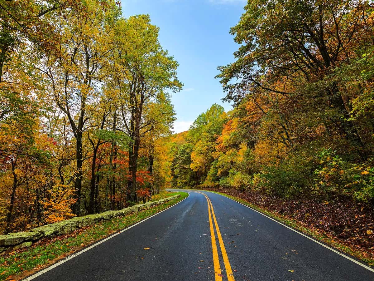 Overlook on Skyline Drive in Shenandoah National Park