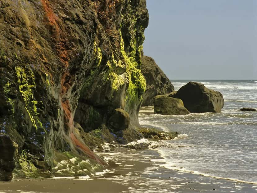 Pacific beach and dunes at Ocean Shores, Washington