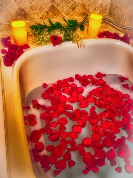 The Lion and The Rose Bed and Breakfast
