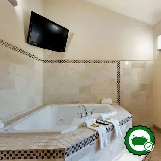 Best Western Plus Arlington North Hotel & Suites