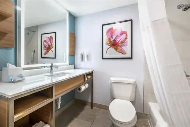 Hilton Garden Inn Lexington Hamburg — guest room