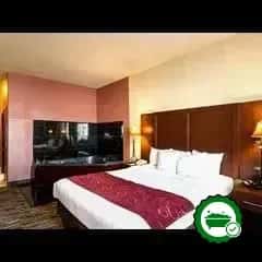 Comfort Suites At Plaza Mall — guest room