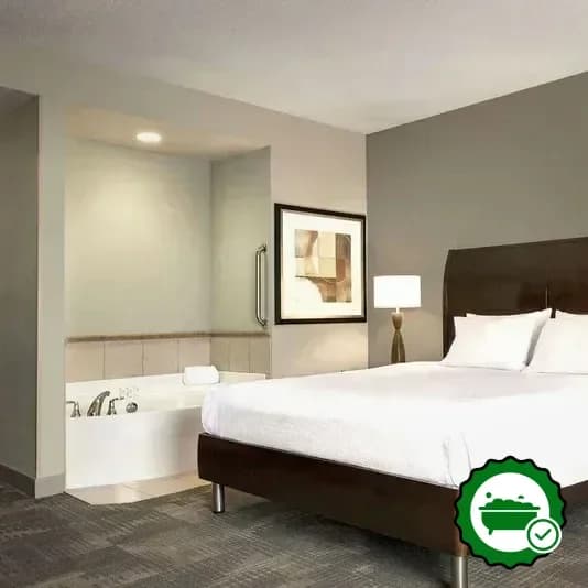 Hilton Garden Inn Minneapolis Downtown