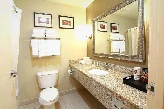 Comfort Suites — guest room